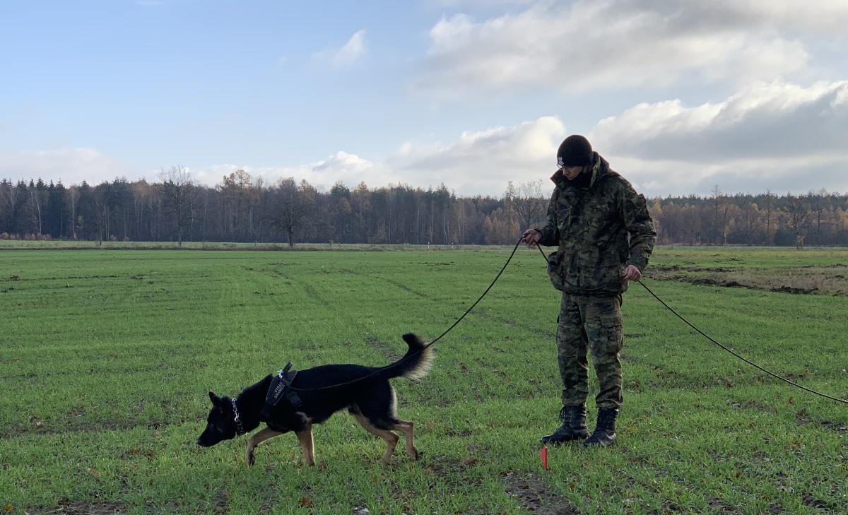 Funkcjonariusz Straży Granicznej z psem służbowym w terenie podczas szkolenia.