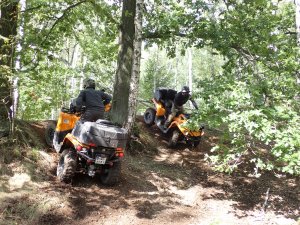  Dwóch funkcjonariusz Straży Granicznej na pojazdach ATV w terenie leśnym podczas pokonywania przeszkody.