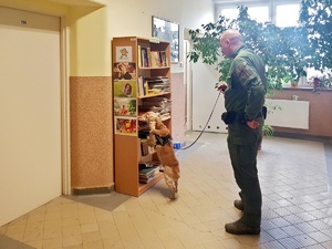 Funkcjonariusz z psem podczas ćwiczeń