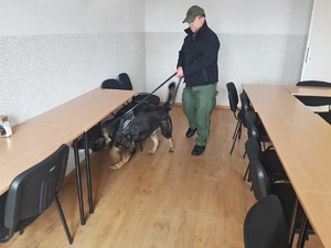 Funkcjonariusz z psem podczas ćwiczeń