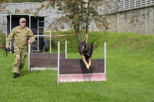 Funkcjonariusz z psem podczas egzaminu na torze przeszkód