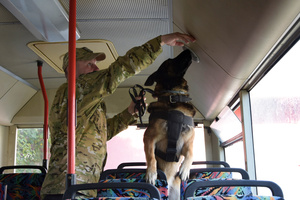 Funkcjonariusz z psem podczas egzaminu w autobusie