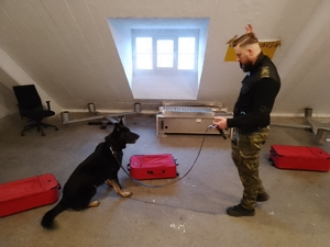 Kurs doskonaląco-atestacyjny przewodników psów służbowych do wyszukiwania materiałów wybuchowych i broni