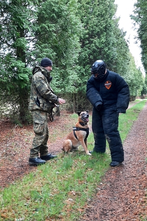 Kursy doskonaląco-atestacyjne dla przewodników psów patrolowo-obronnych oraz przewodników psów specjalnych do wyszukiwania narkotyków