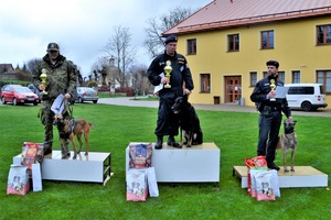 Drużyna Straży Granicznej brała udział w zawodach kynologicznych w Republice Czeskiej
