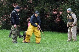 Kurs dla pozorantów z zakresu ćwiczeń obronnych psów