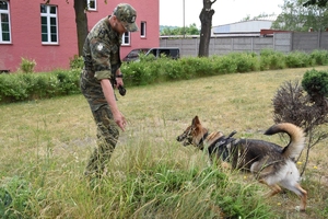 Zakończenie szkolenia specjalistycznego z zakresu kynologii służbowej przewodników psów specjalnych do wyszukiwania materiałów wybuchowych i broni