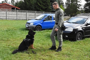 Kolejna edycja kursu doskonaląco-atestacyjnego przewodników psów specjalnych do wyszukiwania materiałów wybuchowych i broni