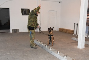 Zakończenie kursu doskonaląco-atestacyjnego przewodników psów specjalnych do wyszukiwania materiałów wybuchowych i broni