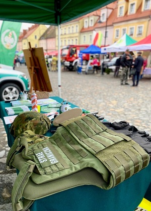 Piknik militarny w Lubomierzu