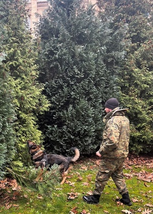 Zakończenie kursu doskonaląco - atestacyjnego przewodników psów specjalnych do wyszukiwania materiałów wybuchowych i broni
