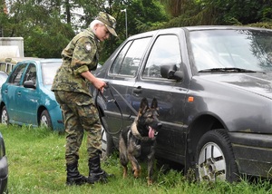 Funkcjonariuszka SG z psem służbowym podczas egzaminu