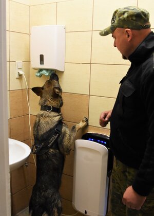 Funkcjonariusz SG z psem służbowym podczas egzaminu