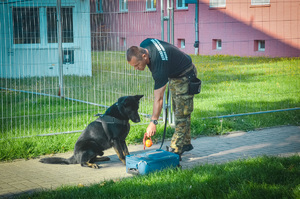 Przewodnik z psem służbowym w trakcie egzaminu