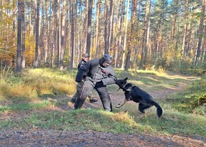 Przewodnik z psem służbowym oraz pozorant podczas egzaminu Przewodnik z psem służbowym oraz pozorant podczas egzaminu