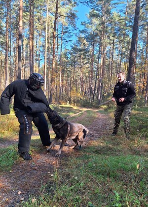 Przewodnik z psem służbowym oraz pozorant podczas egzaminu Przewodnik z psem służbowym oraz pozorant podczas egzaminu