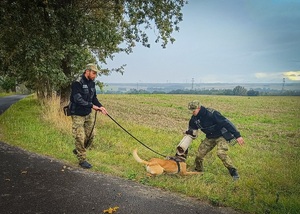 Dwóch funkcjonariuszy SG oraz pies służbowy podczas zajęć w terenie Dwóch funkcjonariuszy SG oraz pies służbowy podczas zajęć w terenie