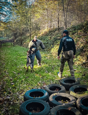 Funkcjonariusz stojący tyłem, przed nim funkcjonariusz ubrany w kombinezon ochronny z psem, podczas zajęć w terenie Funkcjonariusz stojący tyłem, przed nim funkcjonariusz ubrany w kombinezon ochronny z psem, podczas zajęć w terenie