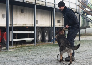 Zabawa gryzakiem podczas testów Zabawa gryzakiem podczas testów