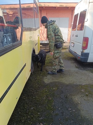 Przewodnik z psem służbowym przy pojeździe podczas egzaminu