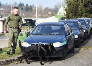 Procedura zatwierdzenia zespołów z PWMW 