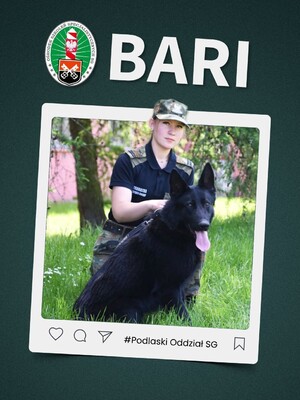 Funkcjonariuszka z Podlaskiego Oddziału SG z psem BARI Funkcjonariuszka z Podlaskiego Oddziału SG z psem BARI