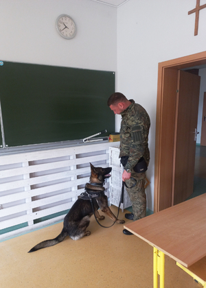 Szkolenie psów specjalnych Funkcjonariusz SG z psem służbowym podczas egzaminów