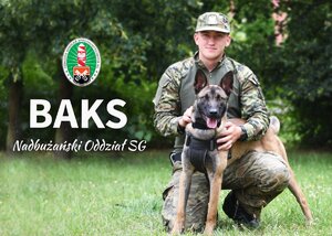 Poznajcie nowe psy tropiąco–patrolowe w Straży Granicznej Funkcjonariusz SG z psem służbowym