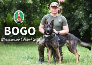 Poznajcie nowe psy tropiąco–patrolowe w Straży Granicznej Funkcjonariusz SG z psem służbowym