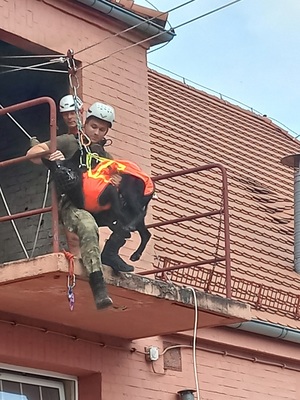 Uczestnicy szkolenia podczas zajęć