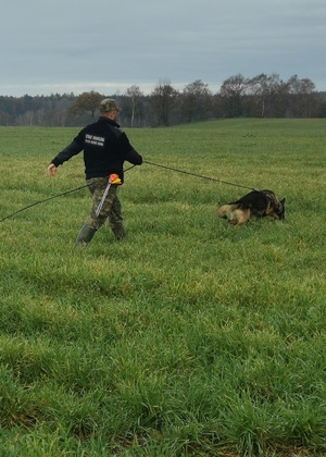 Tropienie i patrol – specjalistyczne szkolenie przewodników psów służbowych Tropienie i patrol – specjalistyczne szkolenie przewodników psów służbowych