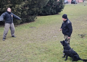 Zakończenie kursów doskonaląco-atestacyjnych przewodników psów tropiących, tropiąco-patrolowych i patrolowo-obronnych. Zakończenie kursów doskonaląco-atestacyjnych przewodników psów tropiących, tropiąco-patrolowych i patrolowo-obronnych.