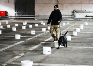 Procedura zatwierdzenia zespołów z PWMW Procedura zatwierdzenia zespołów z PWMW