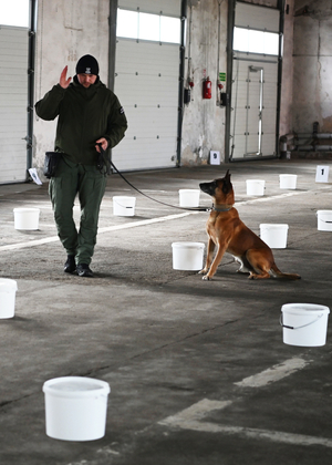 Procedura zatwierdzenia zespołów z PWMW Procedura zatwierdzenia zespołów z PWMW