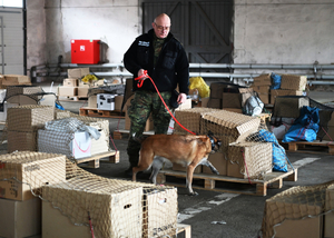 Procedura zatwierdzenia zespołów z PWMW Procedura zatwierdzenia zespołów z PWMW