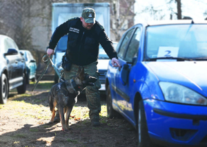 Pięć miesięcy szkolenia zakończone zdanymi egzaminami Pięć miesięcy szkolenia zakończone zdanymi egzaminami