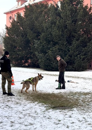 Sukces zbudowany na pasji, zaangażowaniu i setkach godzin wspólnej pracy. Sukces zbudowany na pasji, zaangażowaniu i setkach godzin wspólnej pracy.
